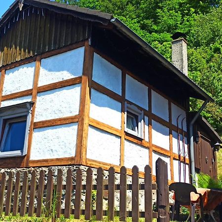 Arode Huette Harzilein - Romantic Tiny House On The Edge Of The Forest Zorge Extérieur photo
