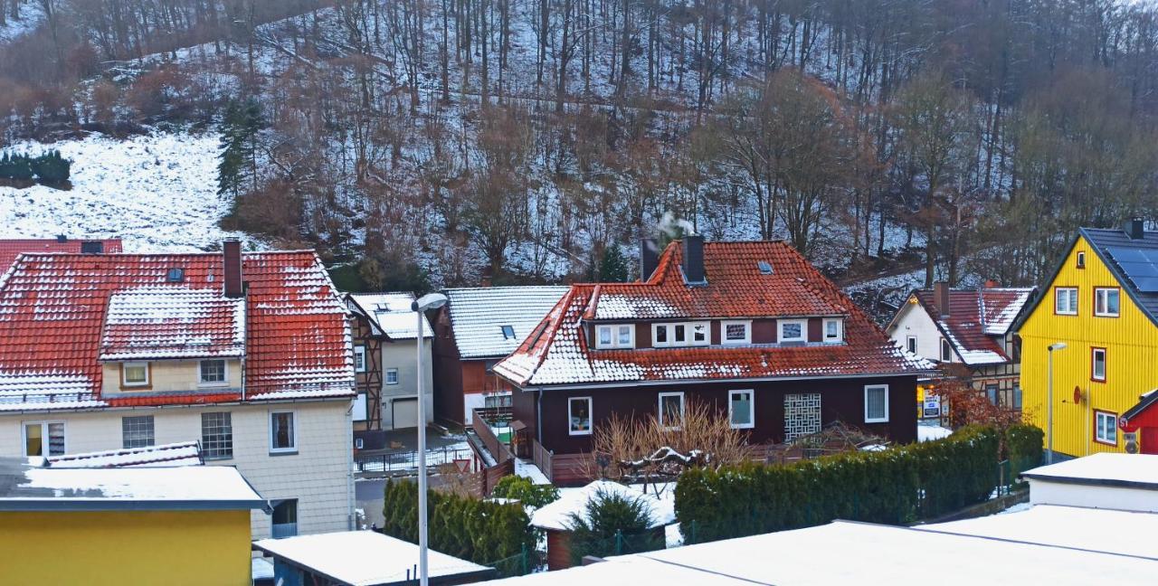 Arode Huette Harzilein - Romantic Tiny House On The Edge Of The Forest Zorge Extérieur photo